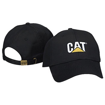 cat hat lg